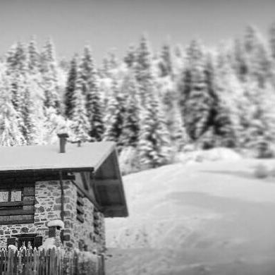 Chalet Lagorai Roncegno Eksteriør bilde